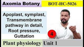 L4 Pathway Root pressure Guttation  Plant Physiology Dr Rajib BorahBsc Botany Axomia Botany [upl. by Spevek]