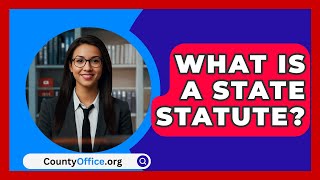 What Is A State Statute  CountyOfficeorg [upl. by Eiderf]