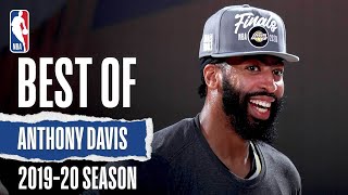 The Very Best Of Anthony Davis 201920 Season [upl. by Hnacogn]