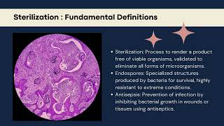 Exploring Sterilization Processes 1 [upl. by Lemmy]