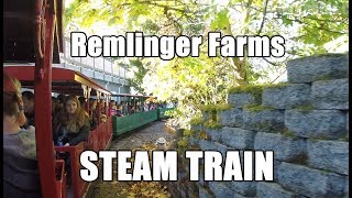 Authentic Steam Train at Remlinger Farms near Seattle [upl. by Kramal]