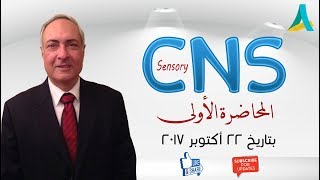 DrNagi  Live Physiology  Lecture 7  CNS Sensory 1 [upl. by Ihsorih419]