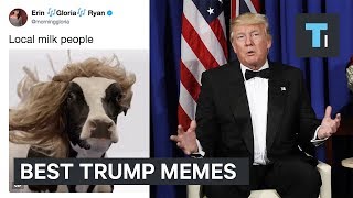 9 Best Memes From Trumps First 200 Days In Office [upl. by Idieh281]