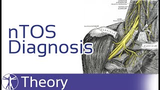 Trisomy 21 Fragile X Duchennes Muscular Dystrophy  Pediatrics  Nervous System  LevelUpRN [upl. by Nilesoj]