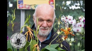 come si taglia il ramo sfiorito delle orchidee playlist LE 9 DOMANDE PIU FREQUENTI video 1 di 9 [upl. by Refinaj]