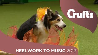 Freestyle Heelwork to Music Competition  Part 3  Crufts 2019 [upl. by Richel]