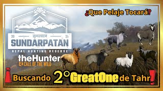 ‼️11ºDiamante💎Tahr del Himalaya🐐🏔️1780killsPost1ºGreatOne [upl. by Hughie]