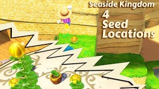 Seaside Kingdom  4 Seed Locations  Super Mario Odyssey [upl. by Livvy787]