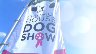 Chiswick House Dog Show 2015 [upl. by Anitsud]