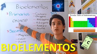 Bioelementos primarios y secundarios EN 3 MINUTOS [upl. by Ernst343]