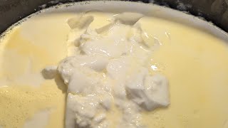 Making Yogurt at Home easy recipe with only two ingredients [upl. by Ollie]