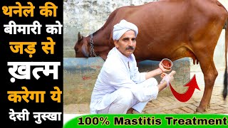 थनैला रोग का 100 देशी और रामबाण ईलाज  Thanela rog ka upchar  Mastitis Treatment [upl. by Elleron]