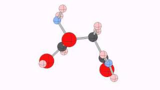 asparagine [upl. by Enirhtac]