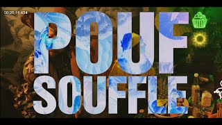 POUFSOUFFLE — extrait Rap Battle Vol 3  La Chanson du Choixpeau Magique [upl. by Angrist]