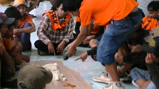 Trailer Malang 19 Pebruary 2012 [upl. by Lateehs]