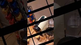 MY NESPRESSO COFFEE MAKER IS NOT WORKING  WHERE TO REPAIR MY NESPRESSO MACHINE IN INDIA  Repair [upl. by Avik]