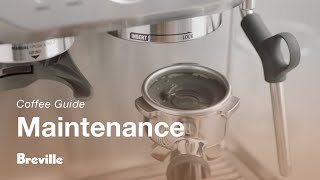 The Barista Express®  How to perform a cleaning cycle on your espresso machine  Breville USA [upl. by Eal93]