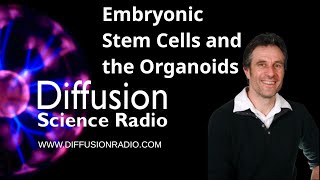 Embryonic Stem Cells and the Organoids [upl. by Letnohs]