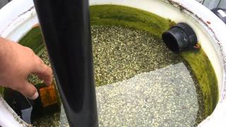 Koi Pond Sand and gravel filter How to Clean it out [upl. by Ij]