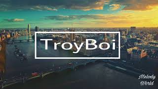 TroyBois Best Mix  Best Song Of TroyBoi  Top 11 TroyBois Mix [upl. by Ennaecarg]