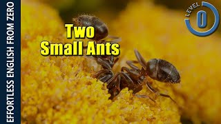 EFFORTLESS ENGLISH LESSON 4  TWO SMALL ANTS LEVEL 0 [upl. by Trawets]