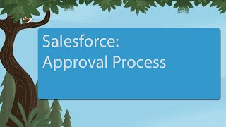 Salesforce Approval Process [upl. by Bull]