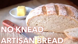 Easy NoKnead Artisan Bread Recipe [upl. by Ynnad476]