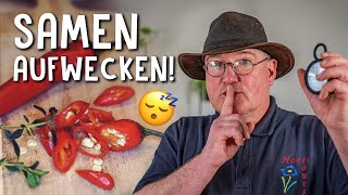 Mit diesem Trick keimen alle deine Samen 🤫  Keimruhe brechen bei teuren Chili Samen [upl. by Eugenle267]