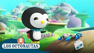 Los Octonautas Oficial en Español  Bajo del mar [upl. by Sivart]