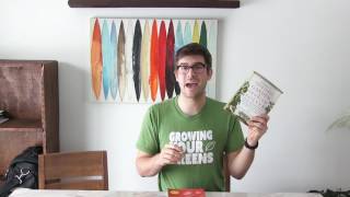 My 4 Favorite Gardening Books For ALL Gardeners [upl. by Darrow]