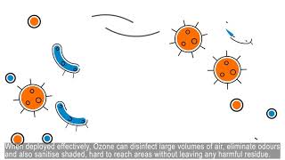 How Does Ozone Disinfection Work [upl. by Ynnej]