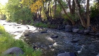 Early Morning Walk on the Trail Along Plateau Creek in Collbran Colorado [upl. by Yuk]