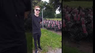 Guy Makes Gobbling Sound at Group of Turkeys Who Respond Together  1067747 [upl. by Dnomed25]