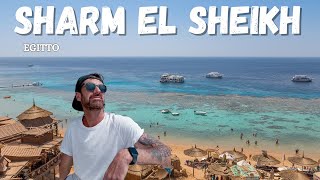 La mia settimana indimenticabile a Sharm el Sheikh paradiso o inferno [upl. by Zigrang]