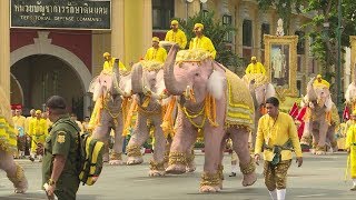 Elephants pay homage to Thailands new king [upl. by Attenol]