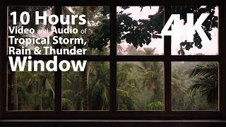 4K 10 hours  Tropical Storm Window with Rain amp Thunder  relaxation meditation nature [upl. by Higgs823]