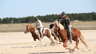 Tölt am Nordseestrand mit PFERD amp REITER [upl. by Ytima]