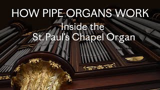 How Pipe Organs Work Inside the St Paul’s Chapel Organ [upl. by Belita]