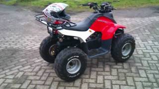 Dinli Quad 50cc stationair [upl. by Friedberg913]