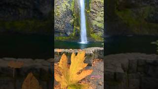 Fall Colors  Horsetail FallsColumbia River GorgeOregon shorts [upl. by Reinold]