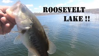 Fishing This Super Clear Desert Lake Full Of Aggressive Bass  Roosevelt Lake Az [upl. by Joye796]