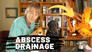 Abscess Drainage At Home [upl. by Keslie]