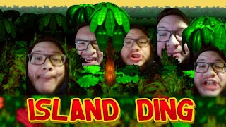 Island Ding STOP POSTING ABOUT DONKEY KONG full song [upl. by Latisha]