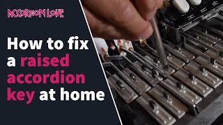 DIY Accordion Repair  How To Fix A Raised Key [upl. by Sigismundo]