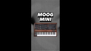 MOOG MINI [upl. by Hertz962]