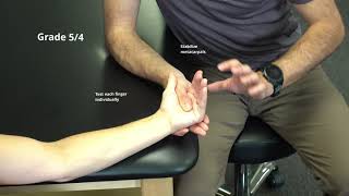 Manual Muscle Test for Metacarpophalangeal Flexion [upl. by Sirkin]