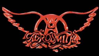 Aerosmith  Janies Got A Gun Lyrics [upl. by Nonnahsal]