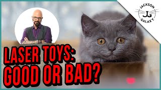 Can a Laser Toy Make Your Cat Crazy [upl. by Wack]