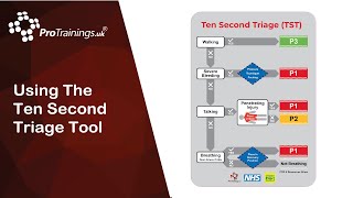 Using The Ten Second Triage Tool [upl. by Enilauqcaj]