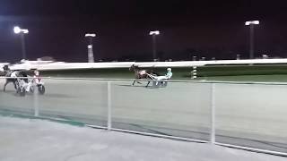 LIVE RACE HORSES AT EMPIRECITY CASINO YONKERS NEWYORK [upl. by Anilecram]